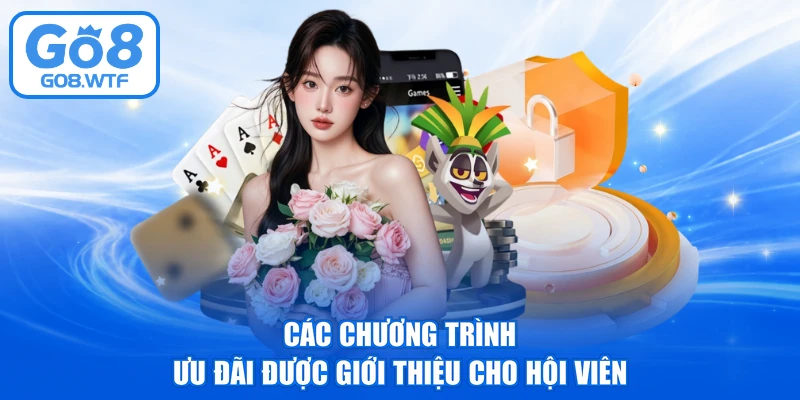 Các chương trình ưu đãi được giới thiệu cho hội viên