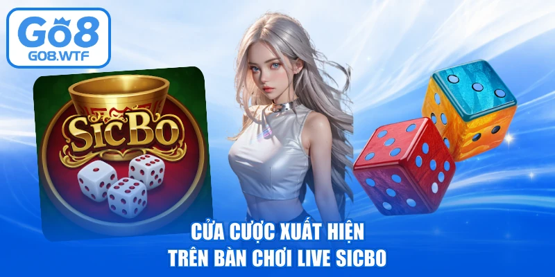 Cửa cược xuất hiện trên bàn chơi live Sicbo