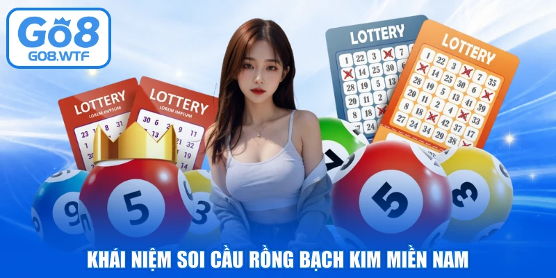 Khái niệm soi cầu rồng bạch kim miền Nam