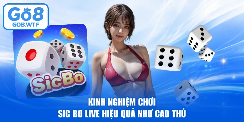 Kinh nghiệm chơi Sic Bo live hiệu quả như cao thủ
