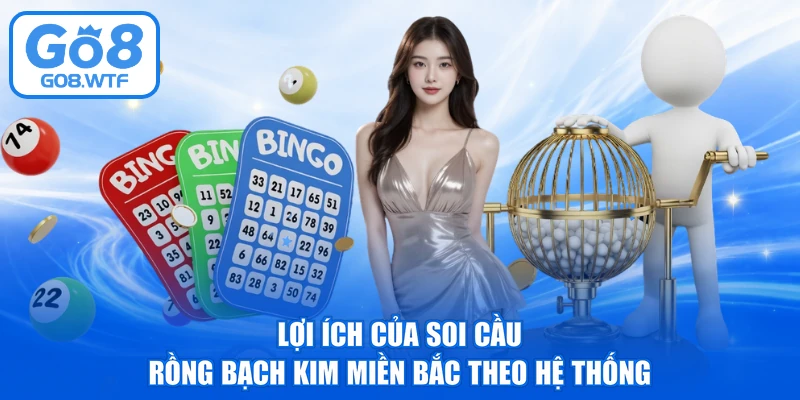 Lợi ích của soi cầu rồng bạch kim miền bắc theo hệ thống