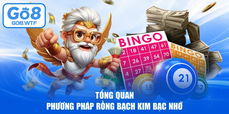 Tổng quan phương pháp rồng bạch kim bạc nhớ
